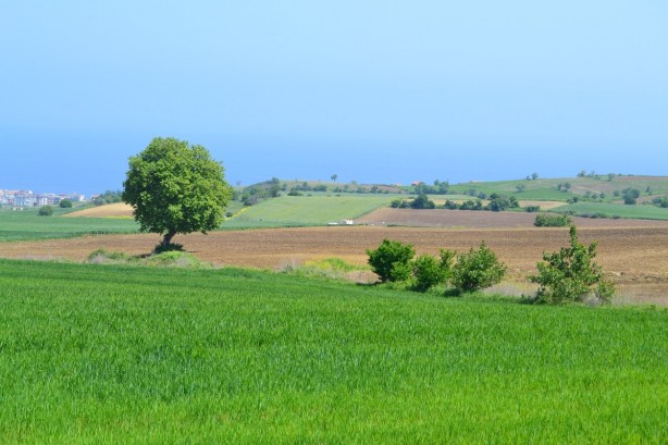 Foto - 3 gram altın fiyatına arsa sahibi olabilirsiniz! Çok büyük fırsat, başvurunun bitmesine sadece saatler kaldı