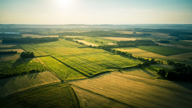 Foto - 3 gram altın fiyatına arsa sahibi olabilirsiniz! Çok büyük fırsat, başvurunun bitmesine sadece saatler kaldı