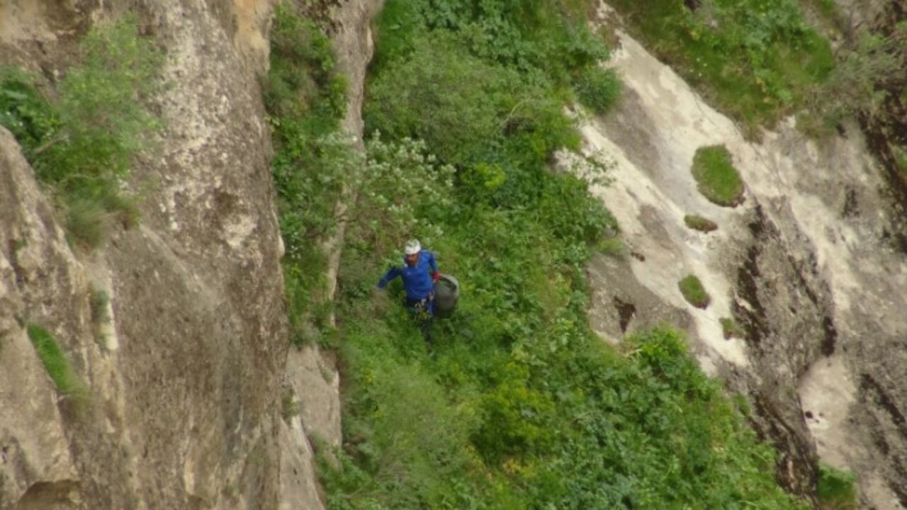 3 haftada bir kayboluyor! Bu otu toplarken ölüme meydan okuyor