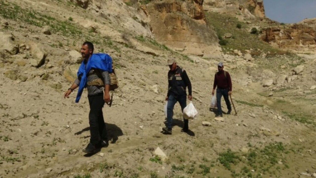 Foto - 3 haftada bir kayboluyor! Bu otu toplarken ölüme meydan okuyor