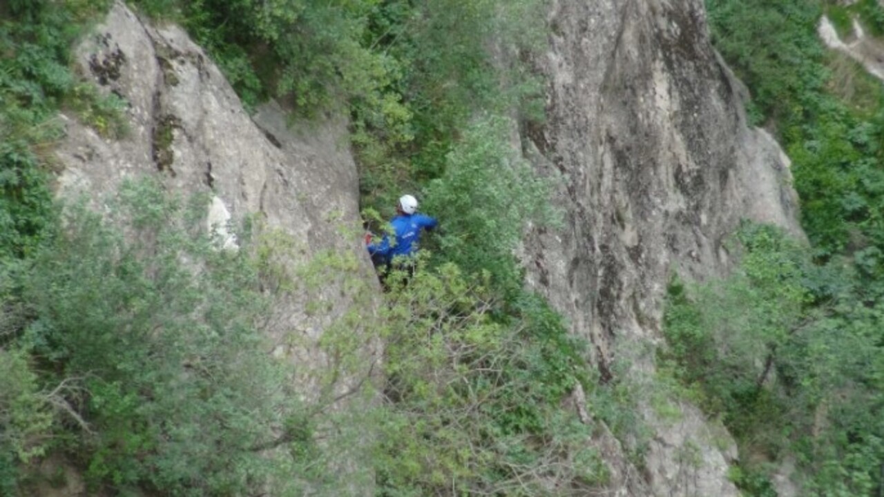 Foto - 3 haftada bir kayboluyor! Bu otu toplarken ölüme meydan okuyor