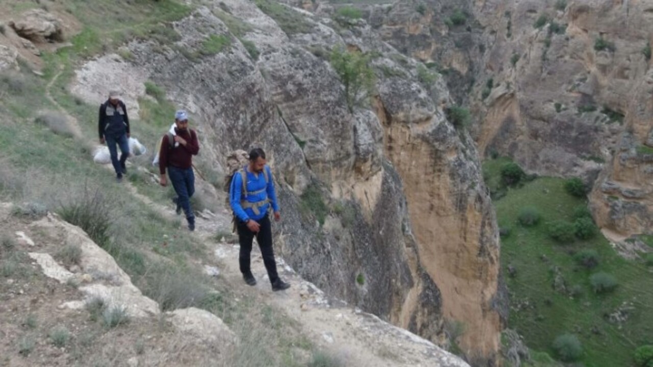 Foto - 3 haftada bir kayboluyor! Bu otu toplarken ölüme meydan okuyor