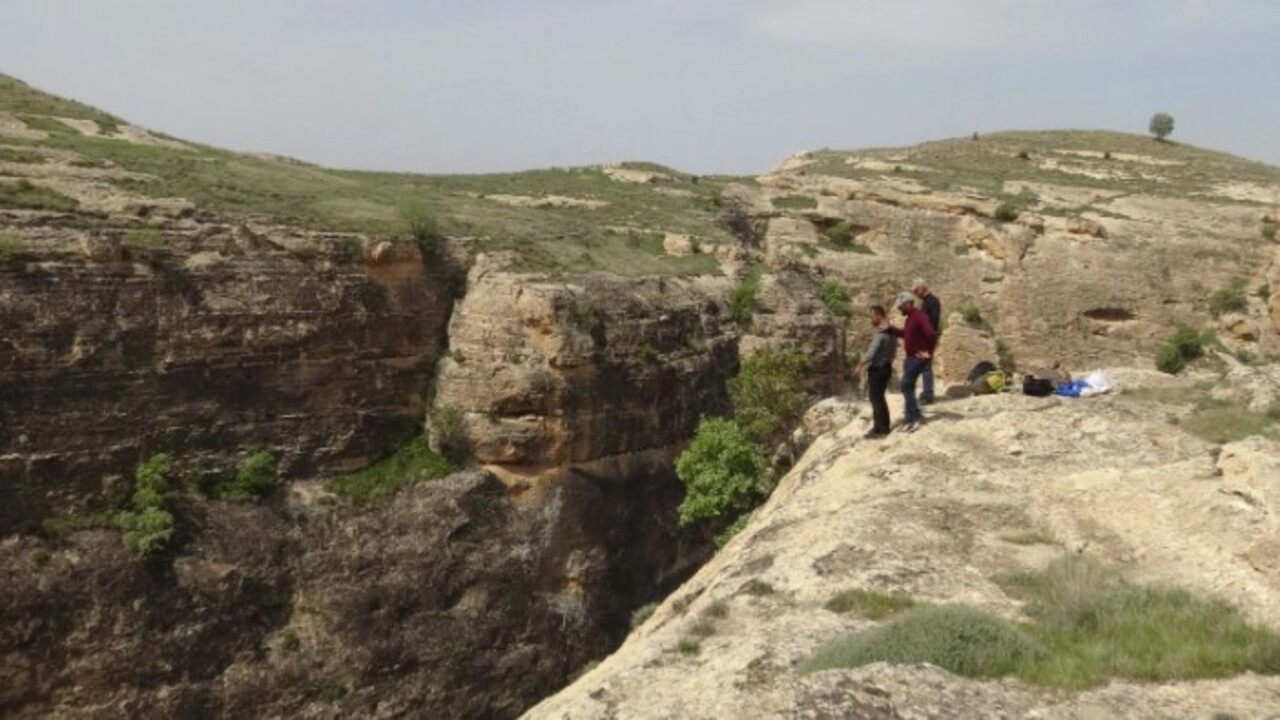 Foto - 3 haftada bir kayboluyor! Bu otu toplarken ölüme meydan okuyor