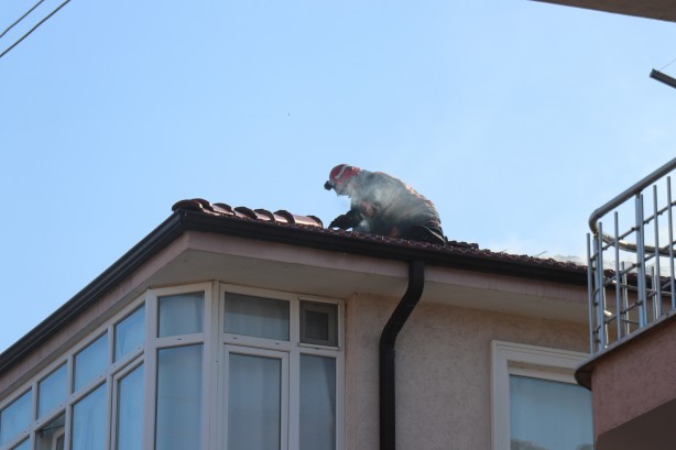 Foto - 3 katlı binanın çatısı yandı! Müdahale havadan görüntülendi