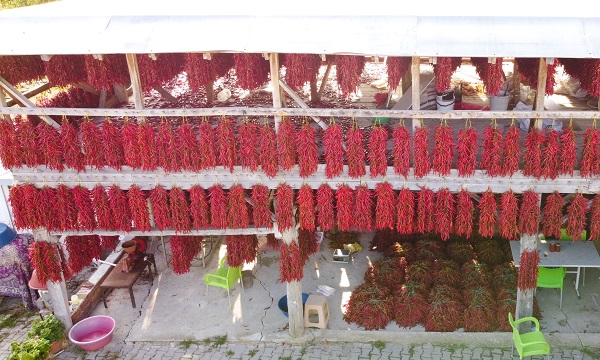 Foto - 3 kilogramlık kırmızı biber sepeti 30 bin liradan satıldı