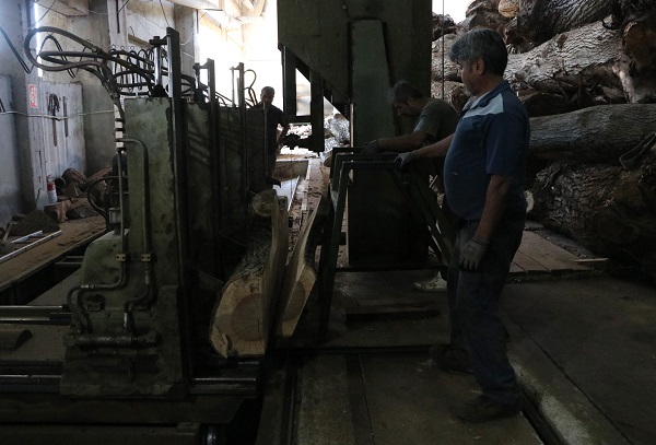 Foto - 3 kıtaya ihraç ediliyor 2 milyon euro katsı sağlıyor