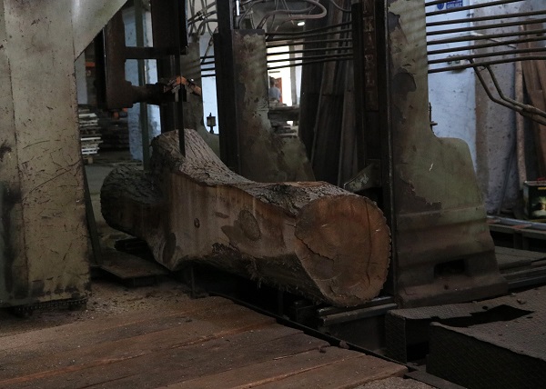 Foto - 3 kıtaya ihraç ediliyor 2 milyon euro katsı sağlıyor