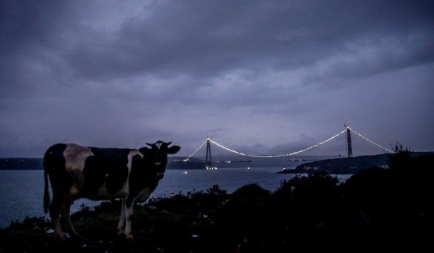 Foto - 3. köprüde sona doğru