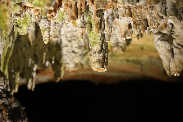 3 milyon yıllık mağaraya ziyaretçi akını