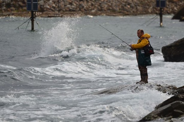 Foto - 3 milyonluk yatırım o canlılara yaradı