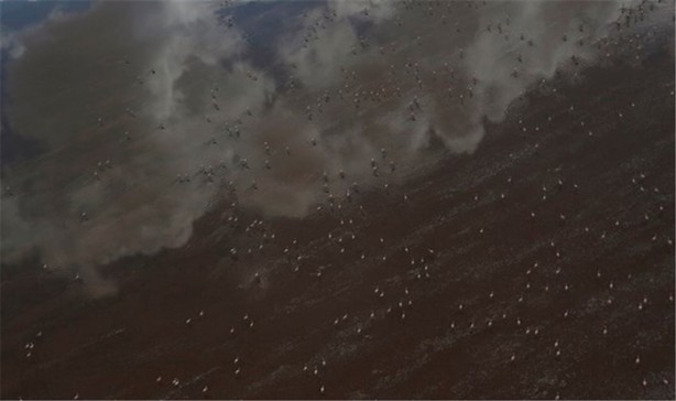 Foto - 3 yıl içinde çöle dönüştü