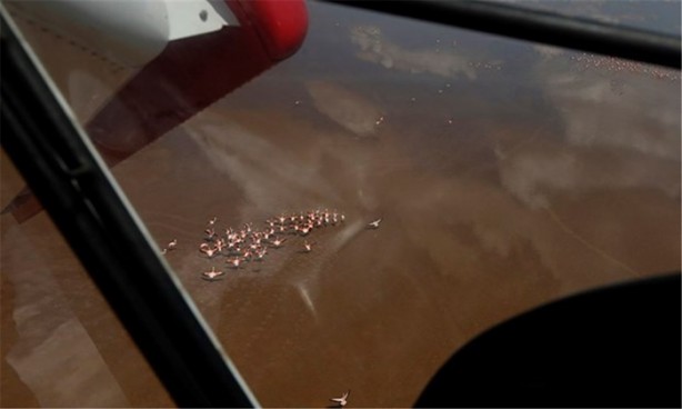 Foto - 3 yıl içinde çöle dönüştü