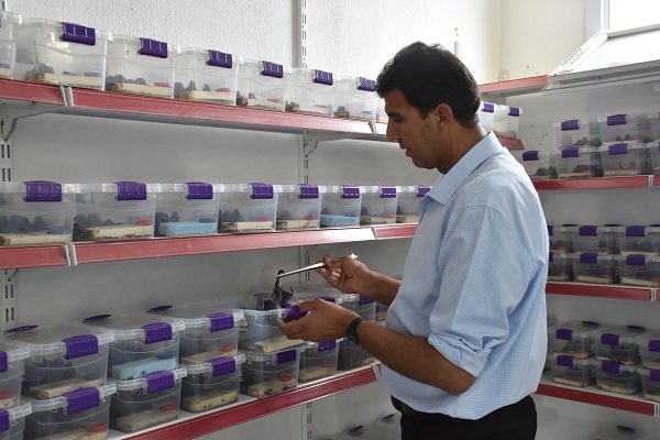 Foto - 3 yıldır 3 bin akrebe bakıyor