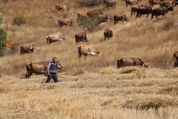 Foto - 30 bin lira maaşla çalışacak eleman bulamıyorlar! En sonunda bunu yapmak zorunda kaldılar