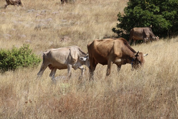 Foto - 30 bin lira maaşla çalışacak eleman bulamıyorlar! En sonunda bunu yapmak zorunda kaldılar