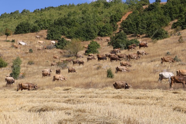 Foto - 30 bin lira maaşla çalışacak eleman bulamıyorlar! En sonunda bunu yapmak zorunda kaldılar
