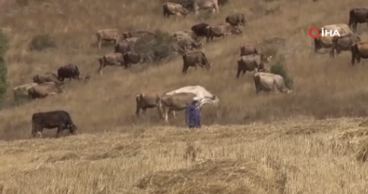 Foto - 30 bin lira maaşla çalışacak eleman bulamıyorlar! En sonunda bunu yapmak zorunda kaldılar