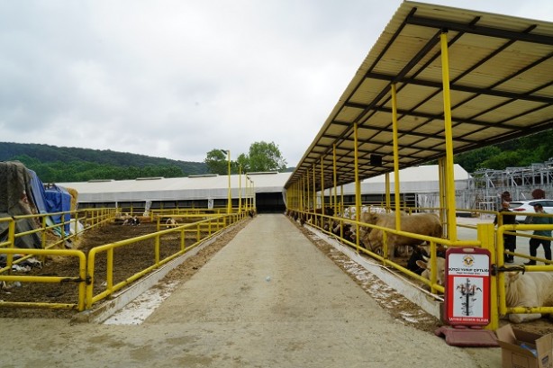 Foto - 30 bin markette ürünleri satılan Türk gıda markası iflasın eşiğinde