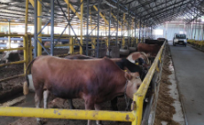 Foto - 30 bin markette ürünleri satılan Türk gıda markası iflasın eşiğinde