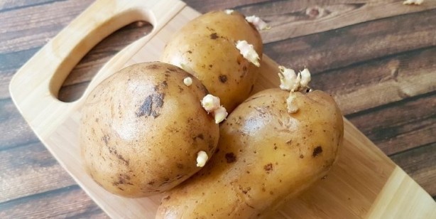 Foto - 30 farklı hastalığa sebep oluyor! Sakın tüketmeyin