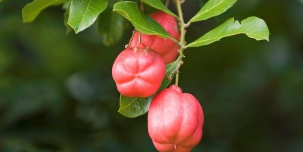 Foto - 30 farklı hastalığa sebep oluyor! Sakın tüketmeyin