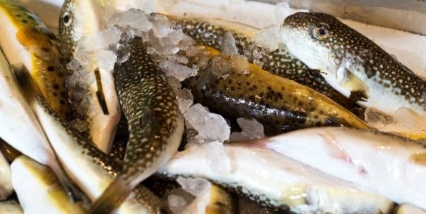 Foto - 30 farklı hastalığa sebep oluyor! Sakın tüketmeyin