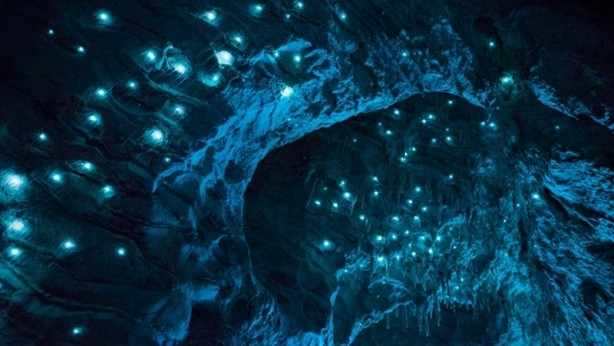 30 milyon yıllık mağara görenleri hayrete düşürüyor