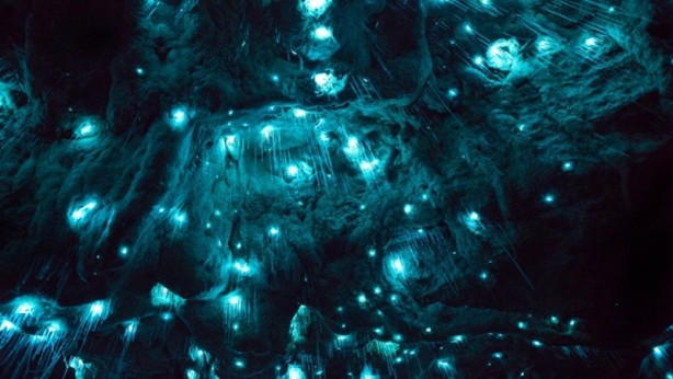 Foto - 30 milyon yıllık mağara görenleri hayrete düşürüyor