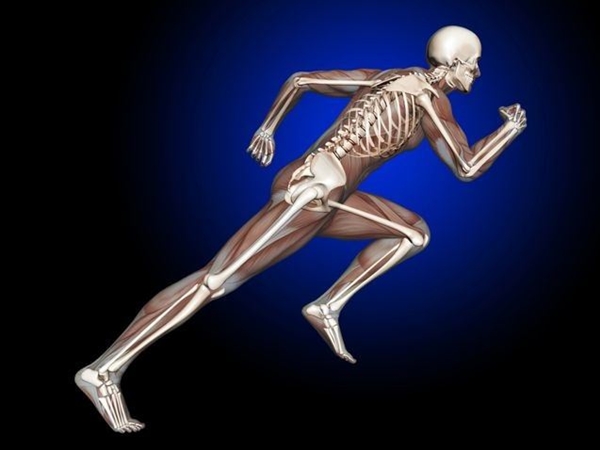 Foto - 30 yaşından sonra kemikleri korumanın yolları