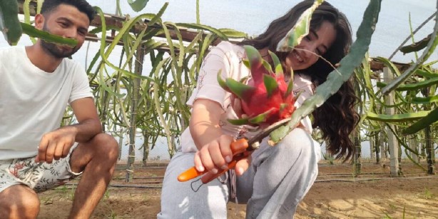 Foto - 30 yıl boyunca dayanıyor! Herkes almak için sıraya giriyor! Fiyatı bütçeye dokunuyor ama şifası kaşık kaşık yediriyor