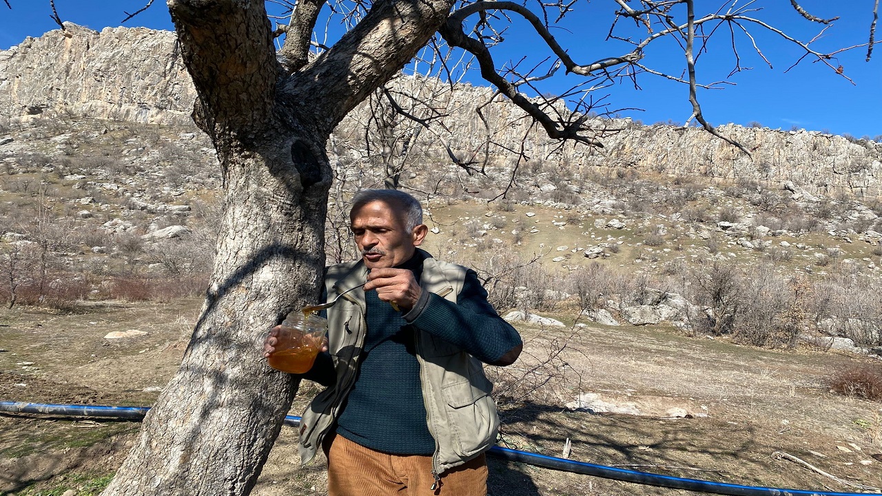 Foto - 30 yıldır bu işi yapıyor! En kaliteli bal için ömrünü adadı