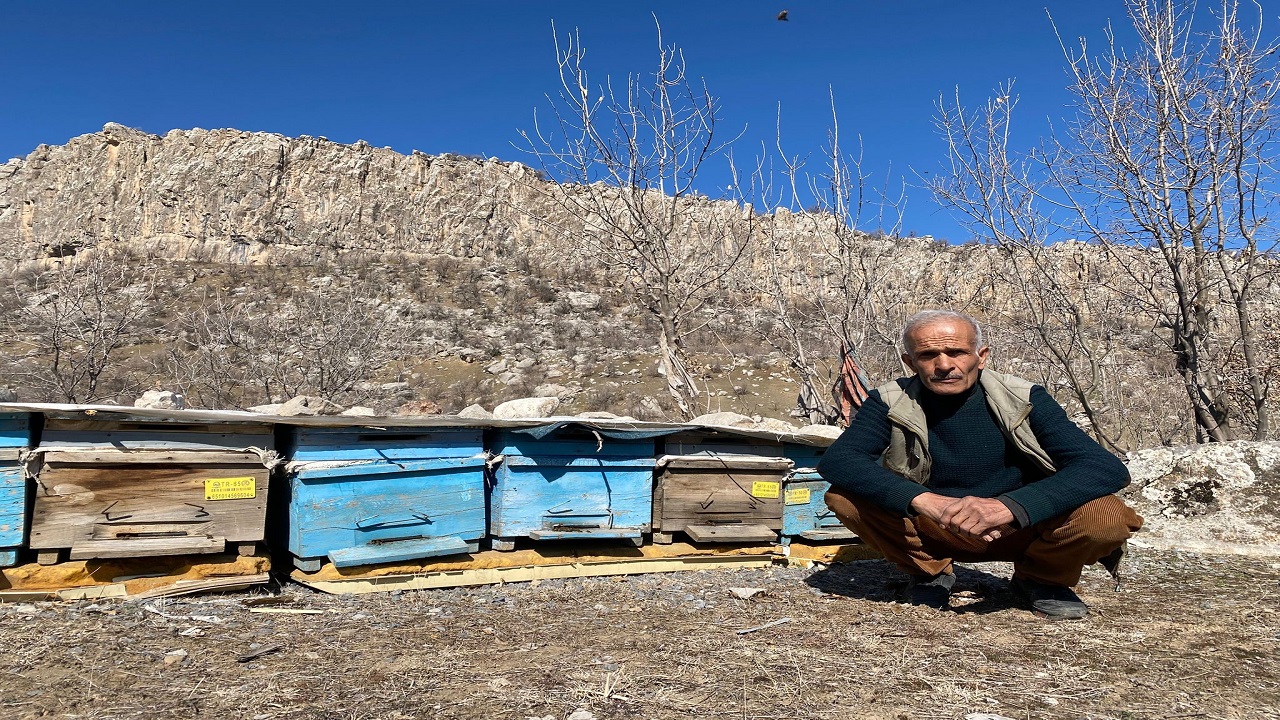 Foto - 30 yıldır bu işi yapıyor! En kaliteli bal için ömrünü adadı
