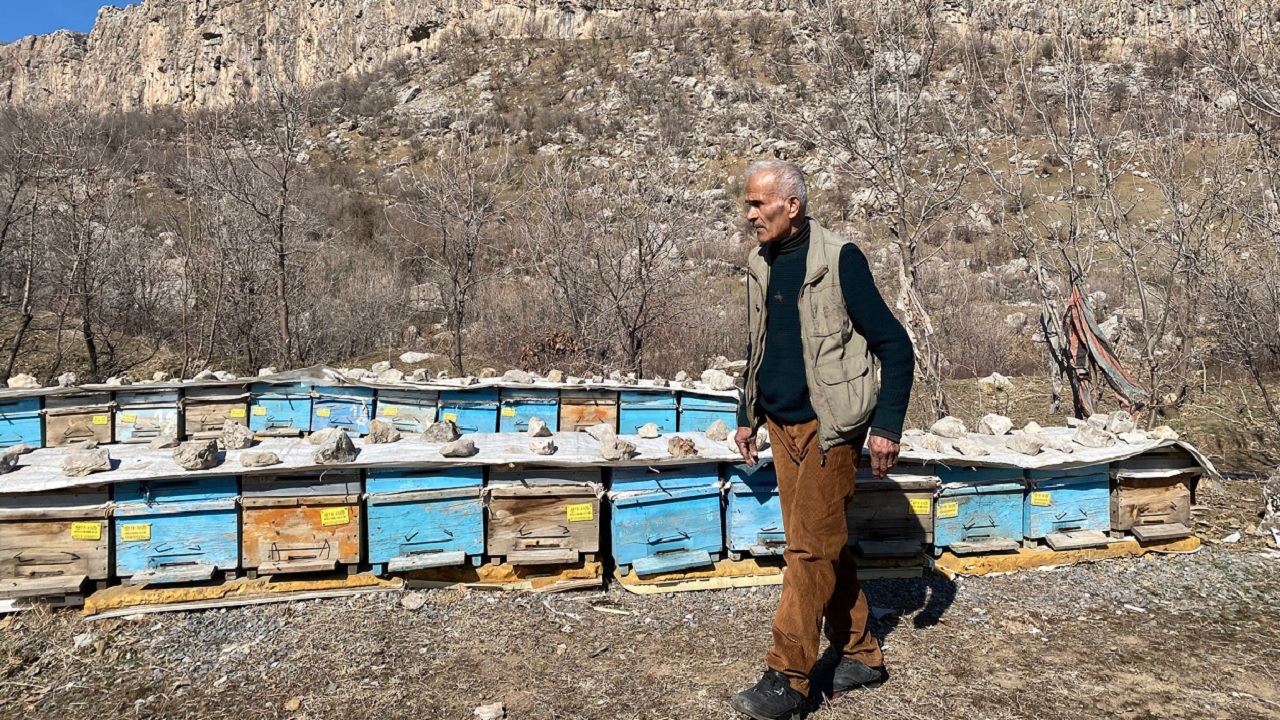 Foto - 30 yıldır bu işi yapıyor! En kaliteli bal için ömrünü adadı