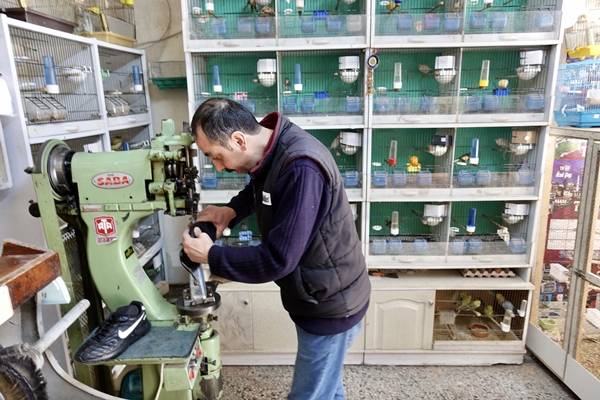 Foto - 30 yıldır kanarya sesleri arasında mesleğini sürdürüyor