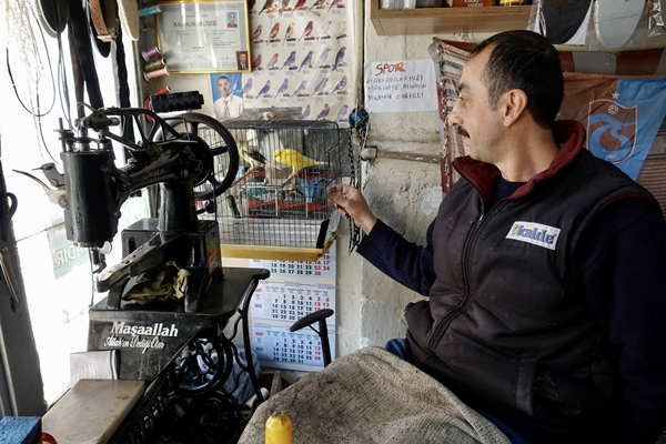 Foto - 30 yıldır kanarya sesleri arasında mesleğini sürdürüyor