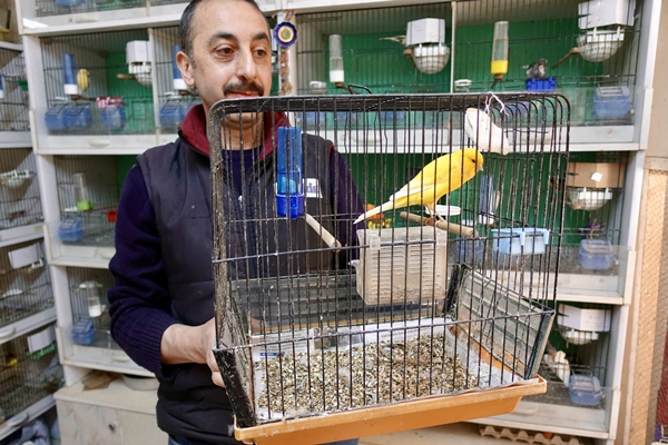 Foto - 30 yıldır kanarya sesleri arasında mesleğini sürdürüyor
