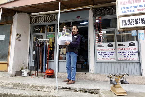 Foto - 30 yıldır kanarya sesleri arasında mesleğini sürdürüyor