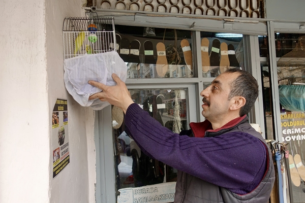 Foto - 30 yıldır kanarya sesleri arasında mesleğini sürdürüyor