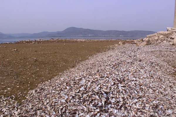 Foto - 300 günlük su kaldı! Sular çekildi minare böyle ortaya çıktı