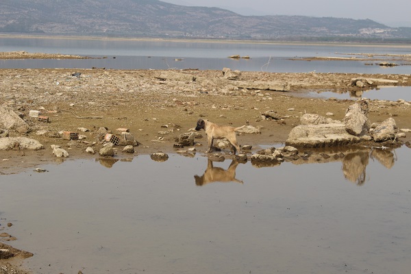 Foto - 300 günlük su kaldı! Sular çekildi minare böyle ortaya çıktı
