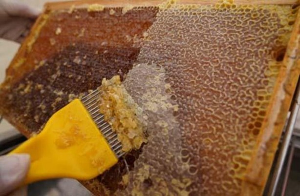 Foto - 300 TL altında satılıyorsa dikkat: Tüketicinin sağlığıyla oynuyorlar!