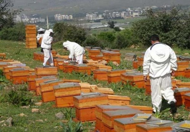 Foto - 300 TL altında satılıyorsa dikkat: Tüketicinin sağlığıyla oynuyorlar!