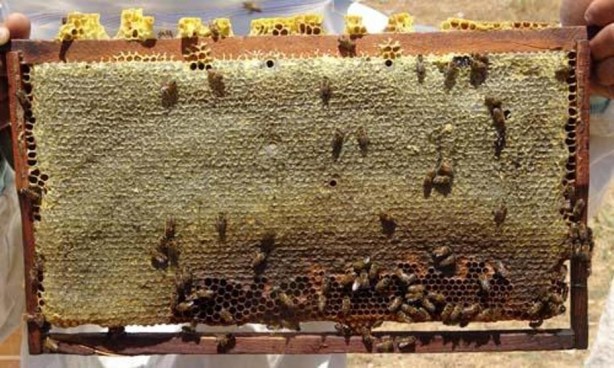 Foto - 300 TL altında satılıyorsa dikkat: Tüketicinin sağlığıyla oynuyorlar!