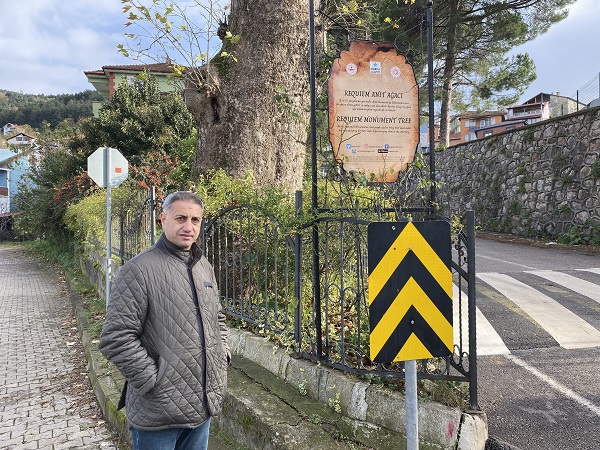 Foto - 300 yıllık ağacın ilginç hikayesi