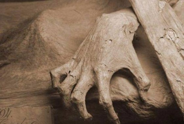 Foto - 300 yıllık ceset 1 saatte çürüdü