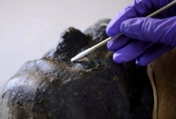 Foto - 300 yıllık ceset 1 saatte çürüdü