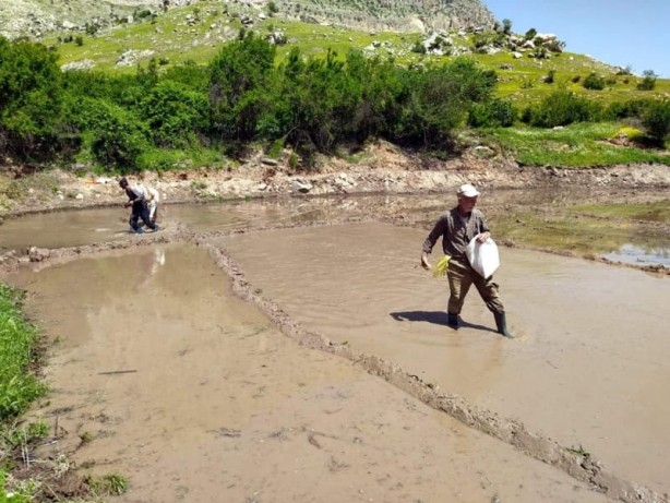 Foto - 300 yıllık gelenek görenleri şaşkına çeviriyor!