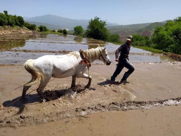 300 yıllık gelenek görenleri şaşkına çeviriyor!