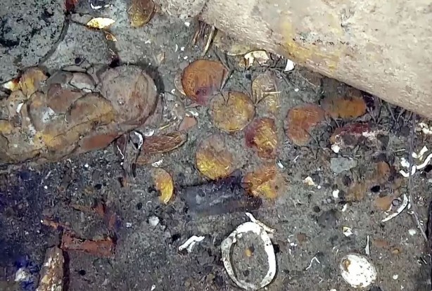 Foto - 300 yıllık hazine gemisinin yeri bulundu: Milyarlarca dolarlık enkaz ortaya çıktı! Tam 11 milyon altın ve gümüş sikke ile zümrüt var! Apar topar harekete geçildi