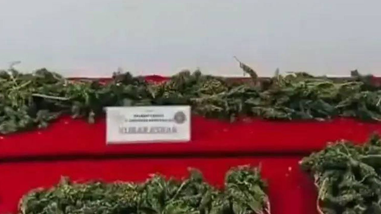 Foto - 32 ilde 10 bin personelle dev uyuşturucu operasyonu! 560 kilo zehir, 435 bin hap yakalandı, 298 torbacı tutuklandı